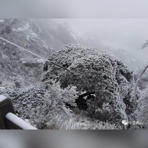黄山冬季摄影攻略：捕捉冰雪奇景的绝佳时机