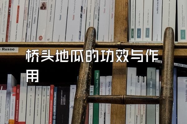 桥头地瓜的功效与作用