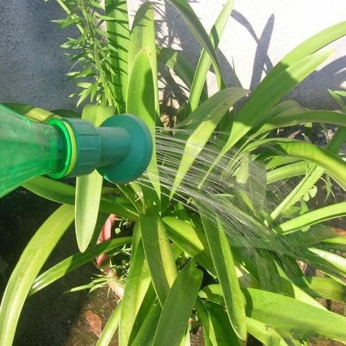 自制三种浇花水，肥效足还不烧根，让花卉茁壮成长