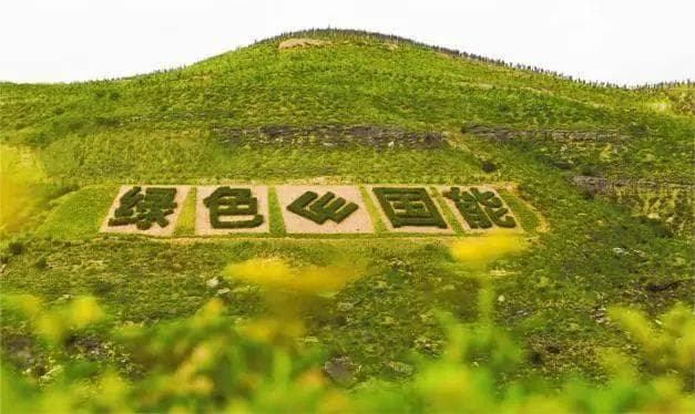 榆林府谷三道沟煤矿走出生态富农新路径