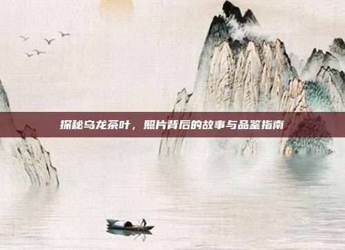 探秘乌龙茶叶，照片背后的故事与品鉴指南