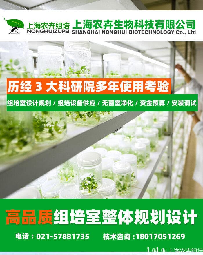 组培室（植物组织培养实验室）的规划布局