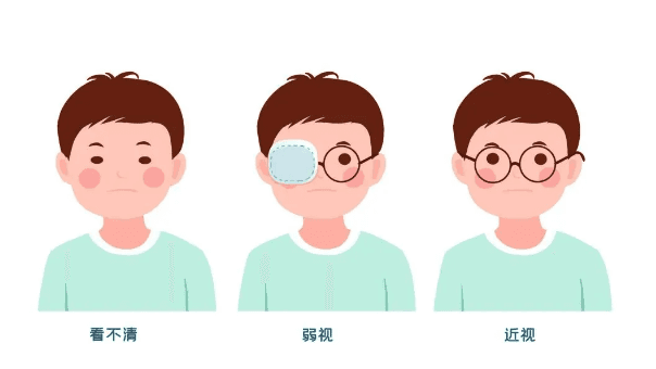 为什么视功能训练是儿童弱视康复的关键？