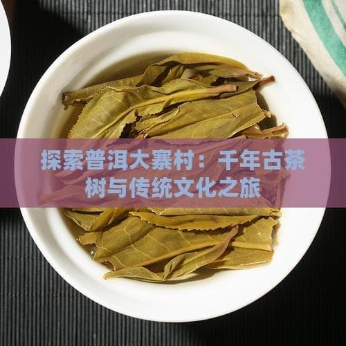 探索普洱大寨村：千年古茶树与传统文化之旅