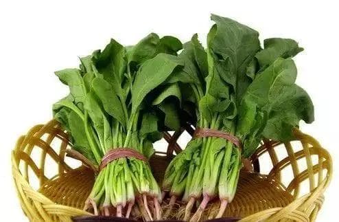 这菜堪比强心剂！每天吃一点，健康一整年