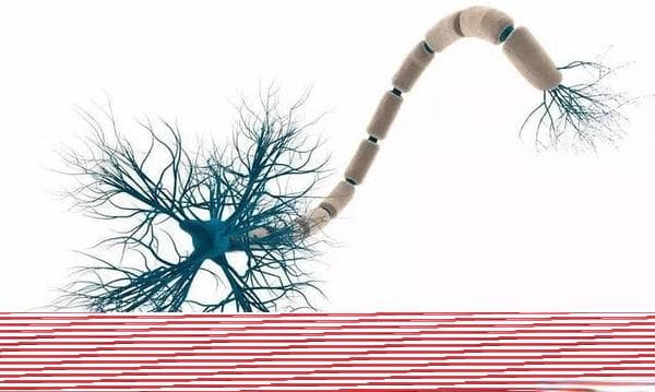 揭秘神经可塑性，有效应对阿尔茨海默