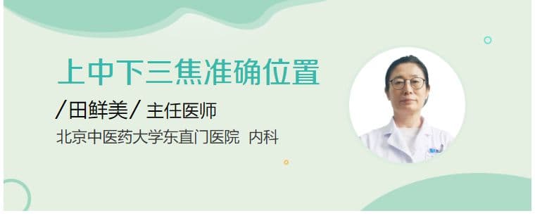 上中下三焦准确位置