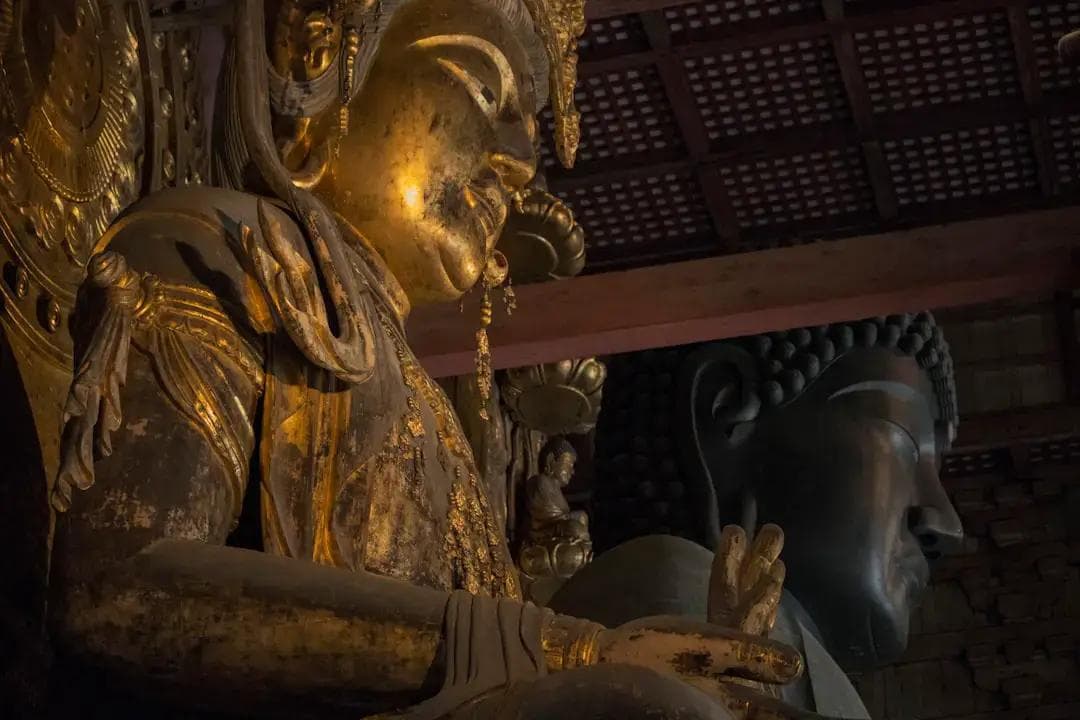 奈良旅游攻略：日本奈良一日游二日游完整规划，小鹿喂食、古寺参拜必学秘诀！
