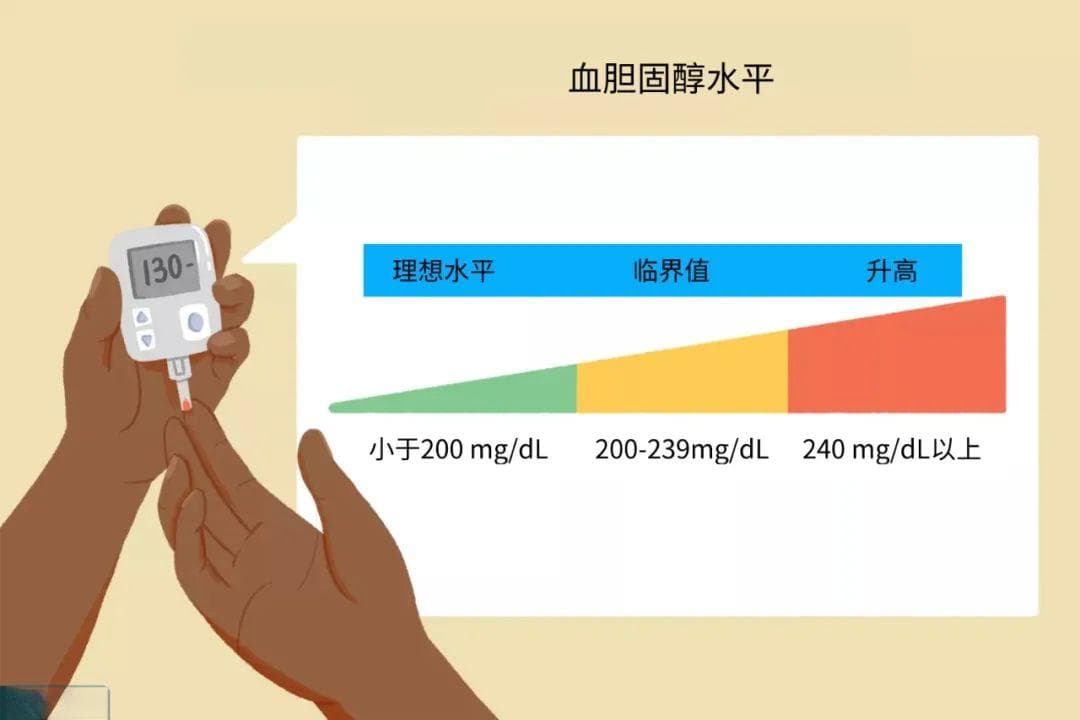 大众科普——献血能降血脂是真的吗？