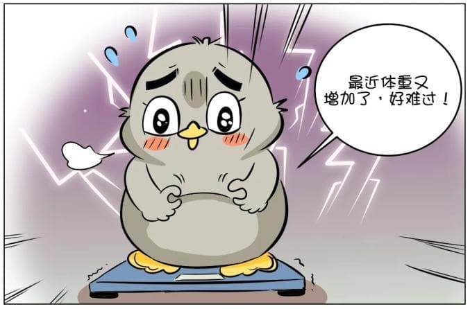 【漫话中医】中医助你健康减重