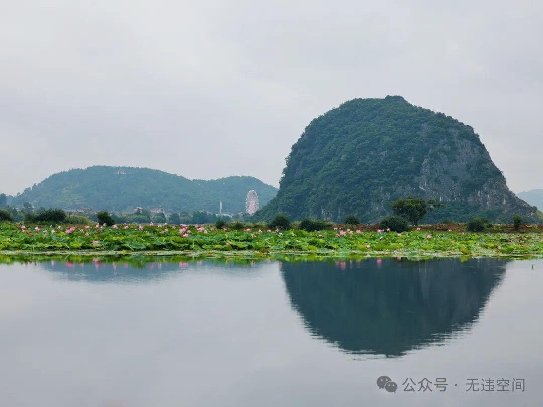 云南避暑胜地，普者黑风景优美，适合赏花旅拍和亲子！（附攻略）