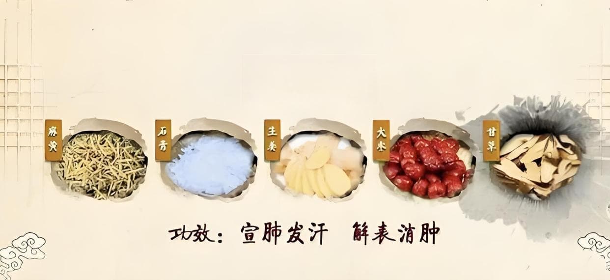 肾病治疗的常用中药方剂都有哪些？