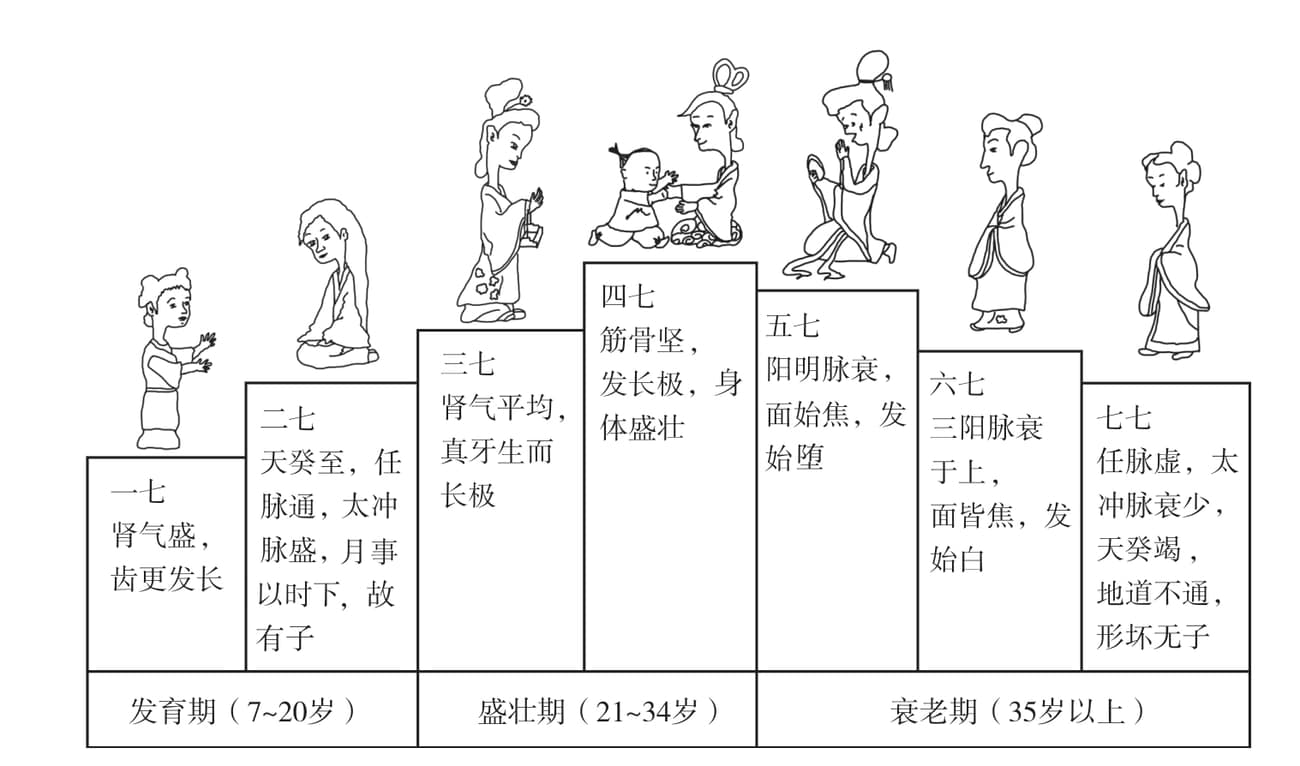 中医养生保健学：探索生命养护之道
