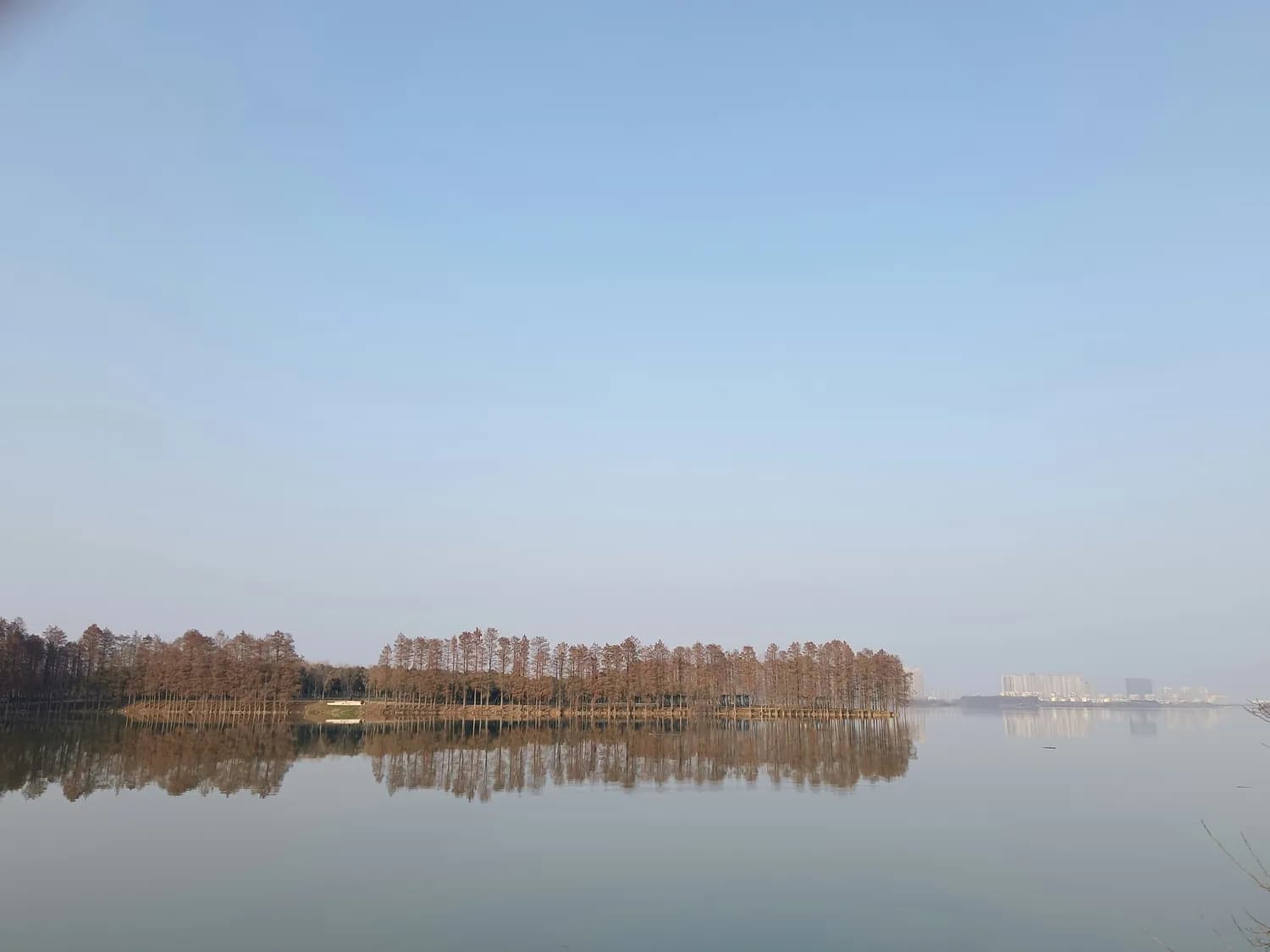 合肥滨湖湿地公园：冬日团建新宠！