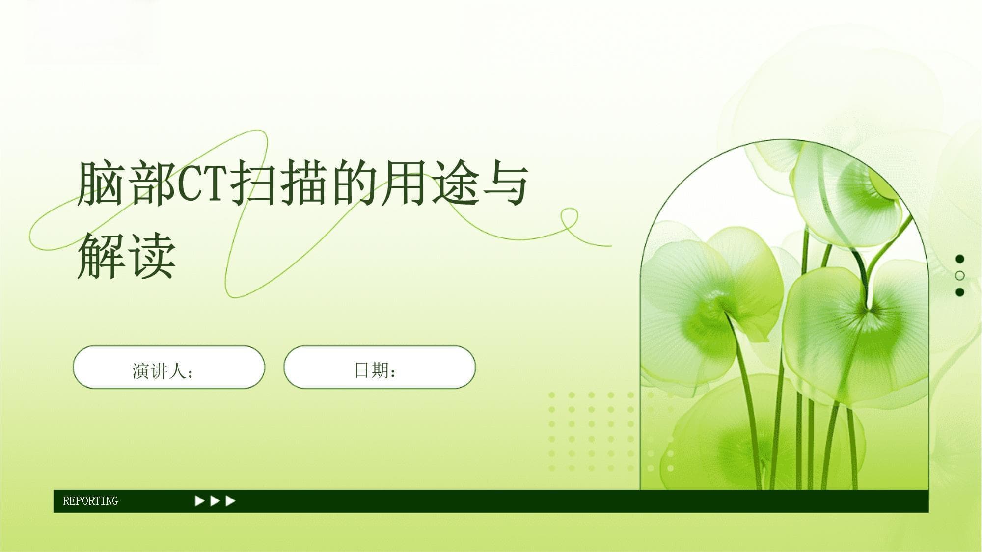 脑部CT扫描的用途与解读