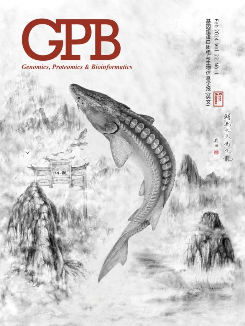 十年，绘一张中华鲟“生命地图”