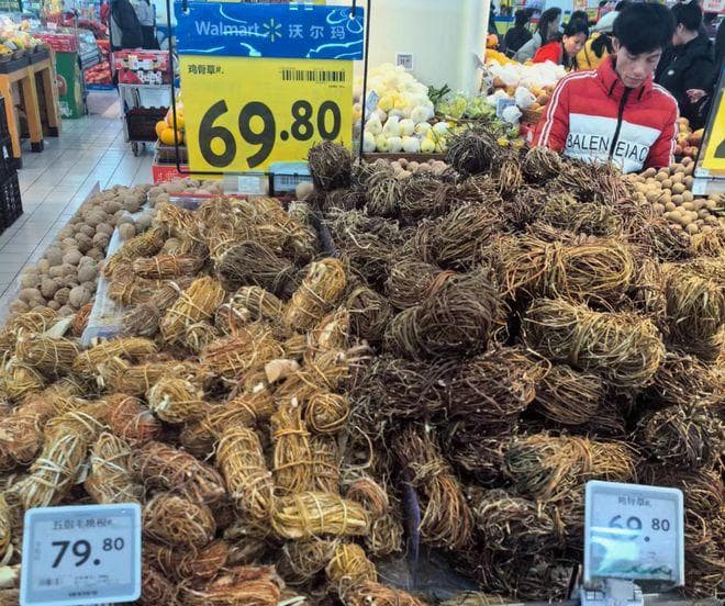 南方四大煲汤植物：从五指毛桃到牛大力，各有特色与功效