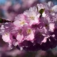 矛盾的哲学定义