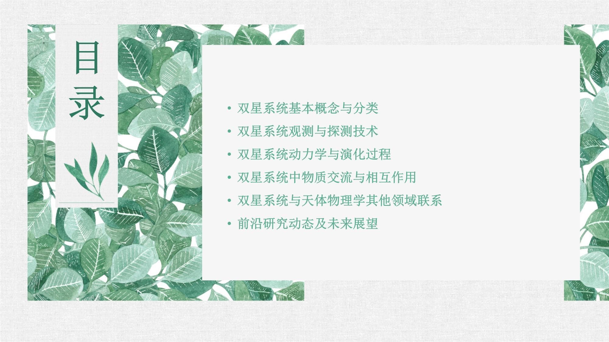 双星系统专题知识讲座