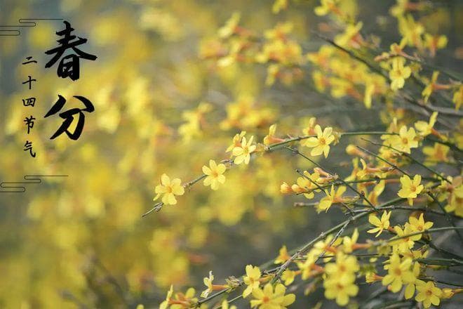春分时节尝三鲜：蚕豆、马兰头、鲈鱼的美味与营养