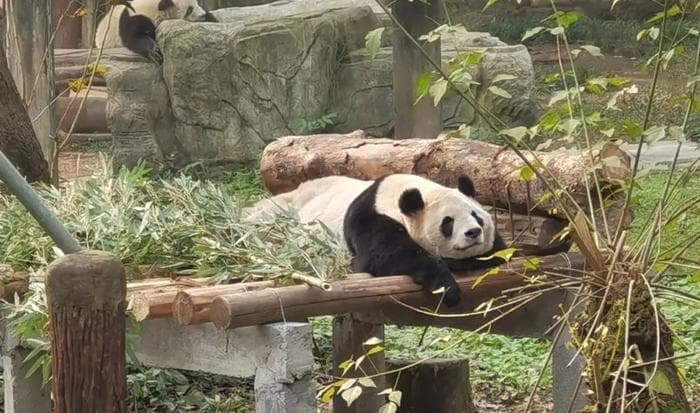 提升2岁+宝宝语言认知能力的小秘籍，9个小方法来帮您