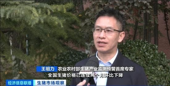 产值超18亿，利润增5倍！猪肉品牌新增长点在哪？