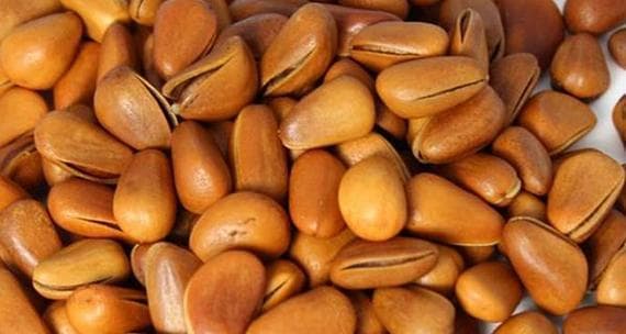 松子可以生吃吗？营养价值与食用注意事项全解析