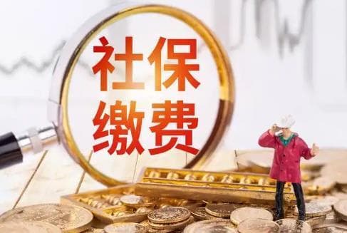 灵活就业人员社保缴费最新标准2025：缴费档次怎么选最划算？