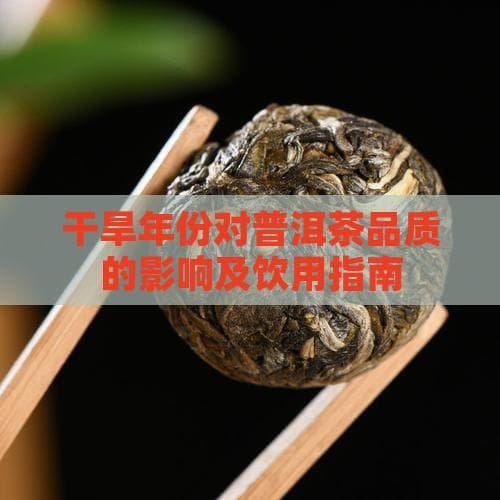 干旱年份对普洱茶品质的影响及饮用指南