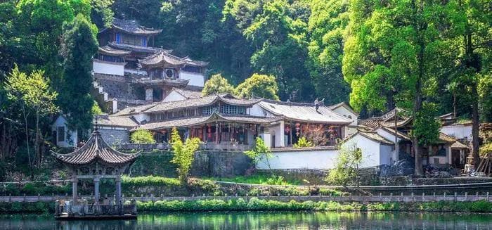 春赏杜鹃秋看银杏，云南腾冲迎来最佳旅游季