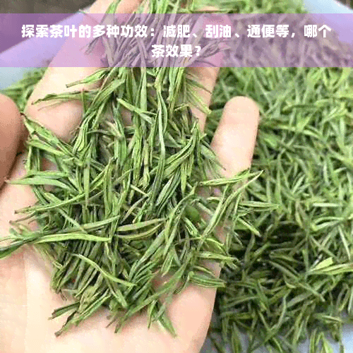 探索茶叶的多种功效：减肥、刮油、通便等，哪个茶效果？
