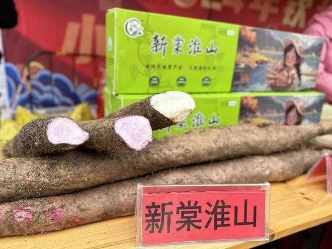 冬日暖汤指南——新棠淮山排骨汤