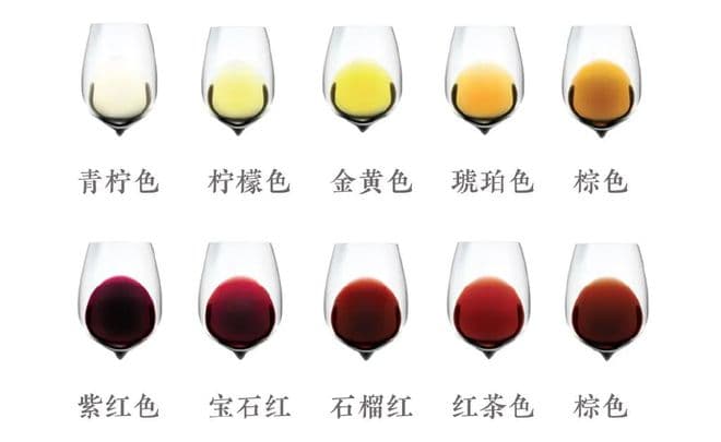 红酒的正确喝法：一场味蕾与文化的优雅邂逅