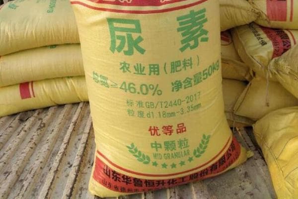 尿素怎么施肥效果好？
