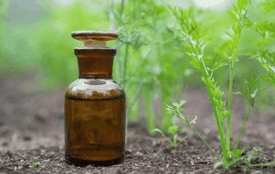 百草枯：一种广泛应用的除草剂