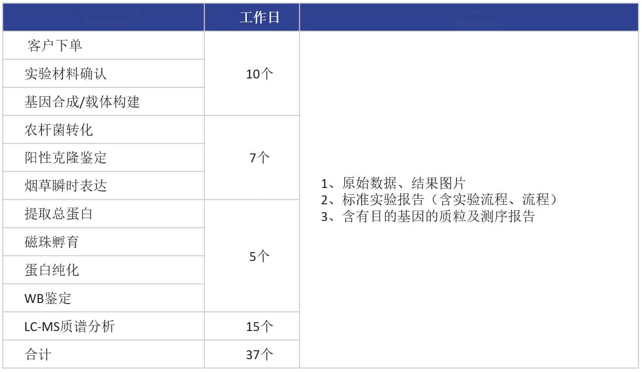 蛋白互作研究利器：IP-MS和Co-IP技术全解析