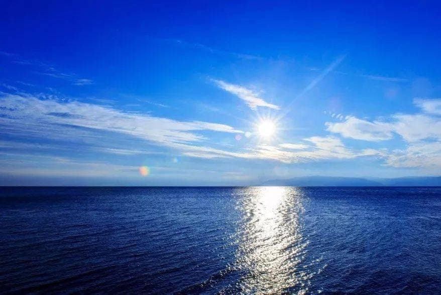 贝加尔湖是淡水湖，为什么里面会有海豹和鲨鱼等海洋动物呢？