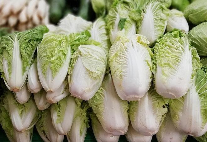 冬储大白菜土埋储存方法
