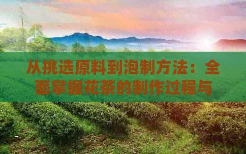 从挑选原料到泡制方法：全面掌握花茶的制作过程与技巧