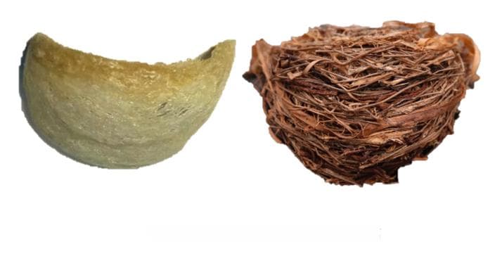 似懂非懂？燕窝究竟是什么？