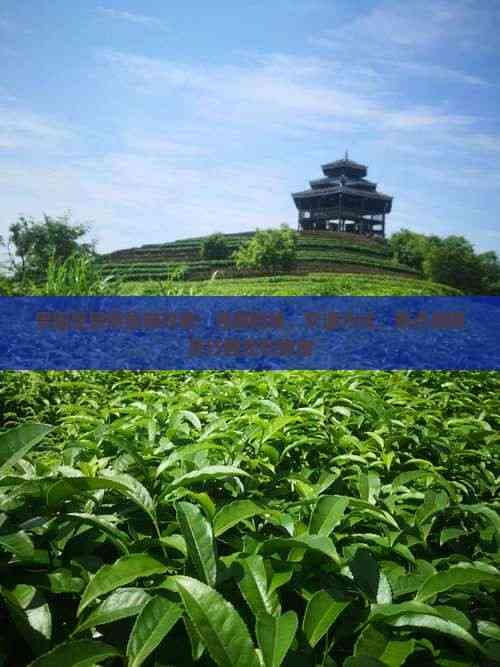 贵阳至昆明旅游攻略：经典路线、交通方式、景点推荐及行程规划指南