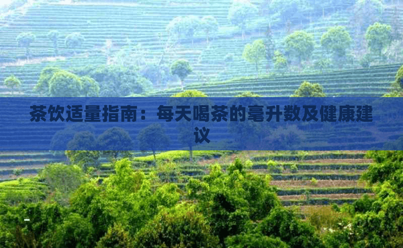 茶饮适量指南：每天喝茶的毫升数及健康建议