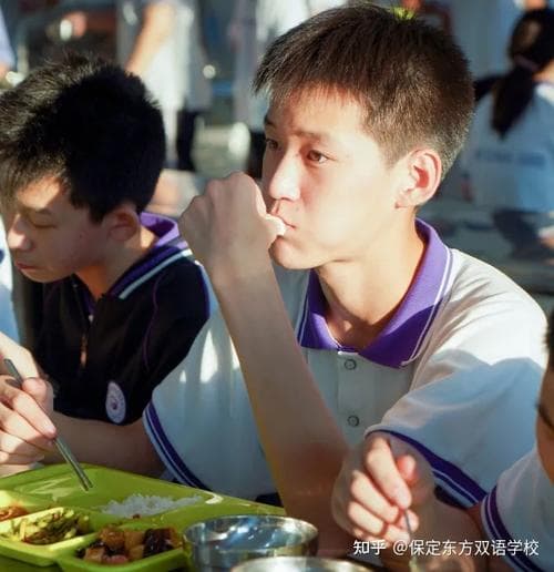 如何过好初中三年？这份实用指南请收好