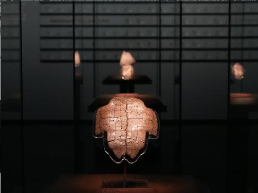 古人姓名中的汉字有何讲究？
