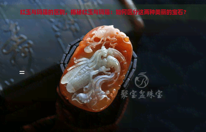 红玉与玛瑙的区别，揭秘红玉与玛瑙：如何区分这两种美丽的宝石？