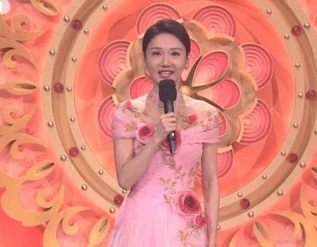 龙洋的职场晋升秘籍：央视年轻主持人的逆袭之路