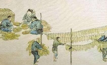 中国烟草的传播——从古代到现代的历程
