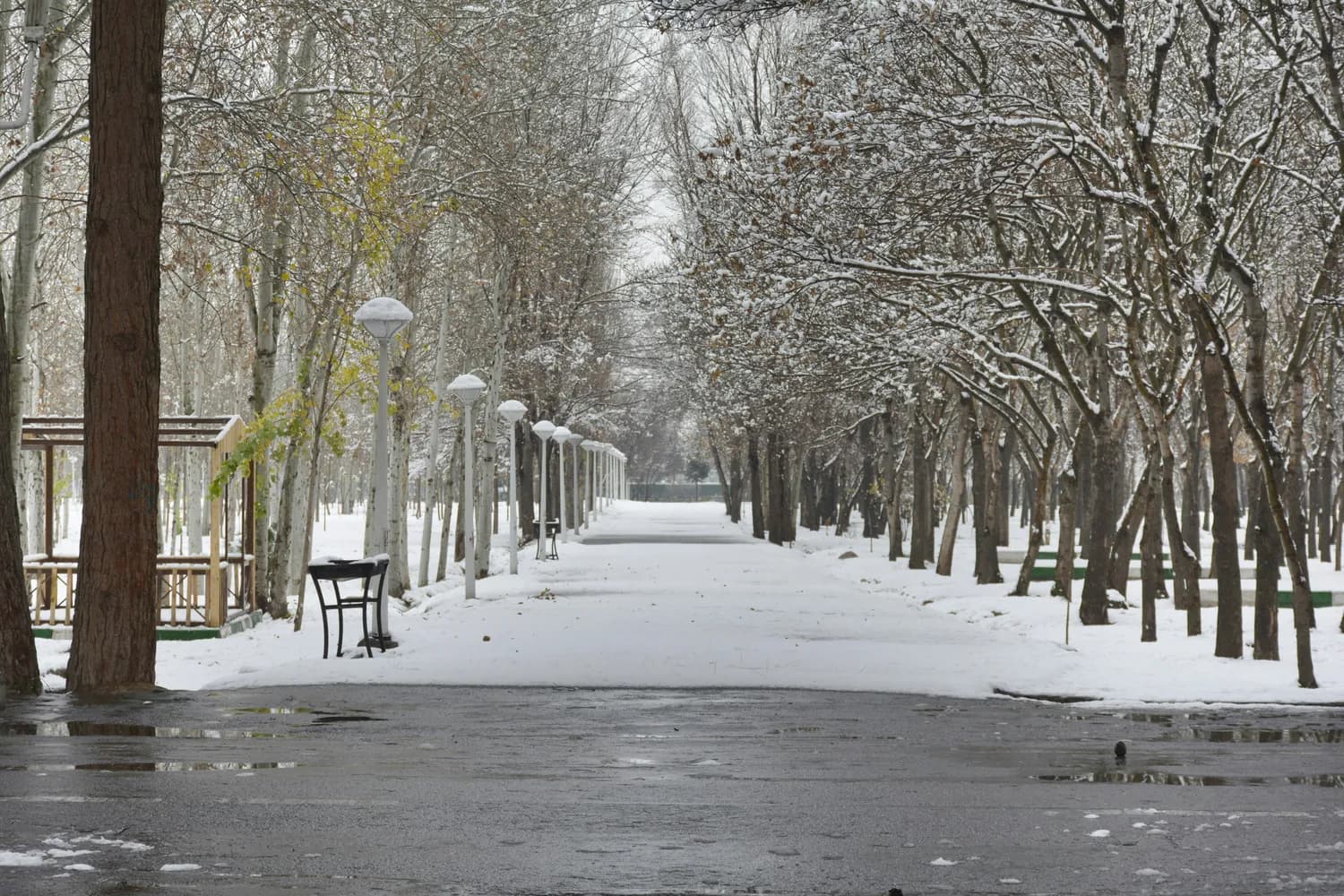 哈尔滨亚冬会：雪天出行攻略