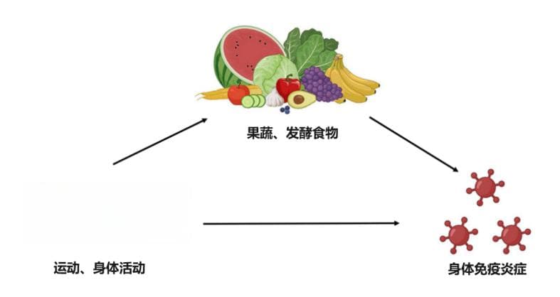 最新研究：抗衰老的三大健康生活方式