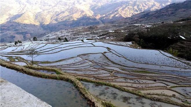 饮茶与饮水：各自的魅力